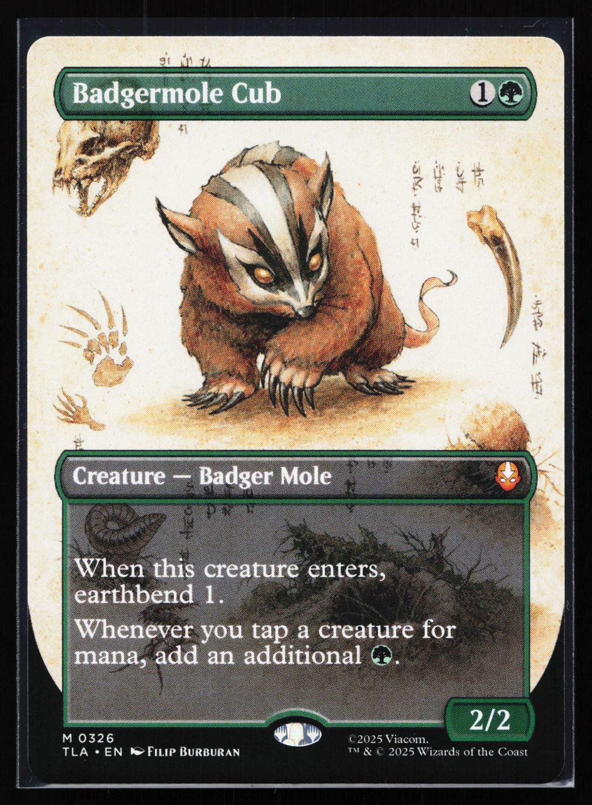Magic: The Gathering card: Avatar: The Last Airbender 326 Badgermole Cub (Borderless) Mythic, front of card