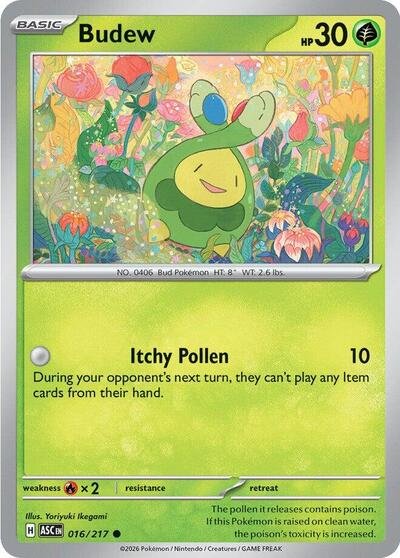 Pokémon card: Budew 016/217 from Ascended Heroes (Common), Grass type, front of card