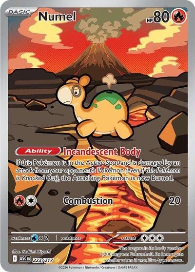 Pokémon card: Numel 223/217 from Ascended Heroes (Illustration Rare), Fire type, front of card