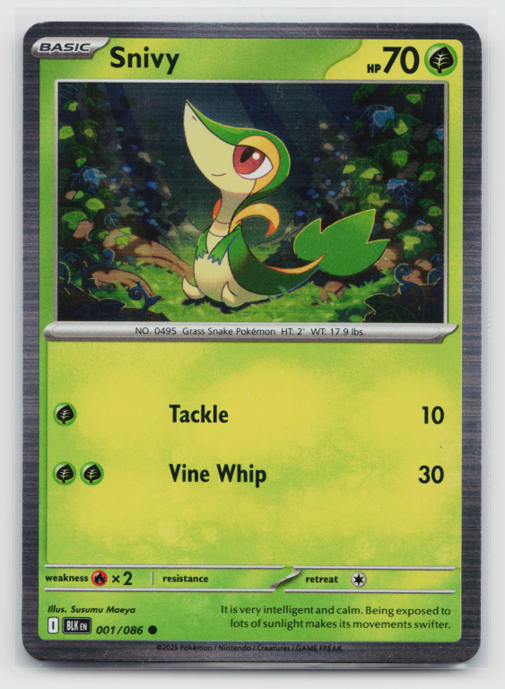 Pokémon card: Snivy Common (Holofoil Promo) 001/086 from Black Bolt (Common), Grass type, front of card