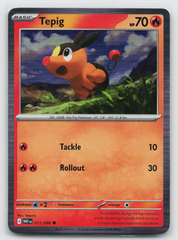 Pokémon card: Tepig Common (Holofoil Promo) 011/086 from White Flare (Common), Fire type, front of card