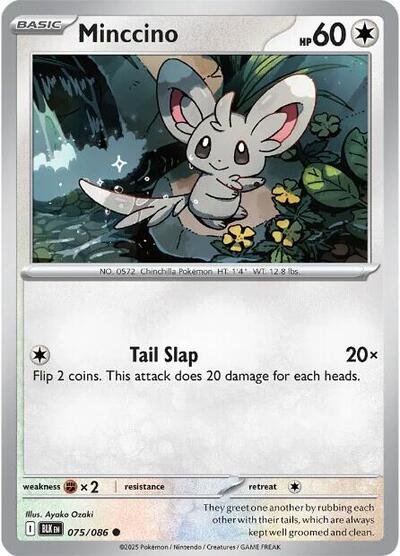 Pokémon card: Minccino (Master Ball Pattern) 075/086 from Black Bolt (Common), Colorless type, front of card
