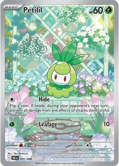 Pokémon card: Petilil 091/086 from Black Bolt (Illustration Rare), Grass type, front of card