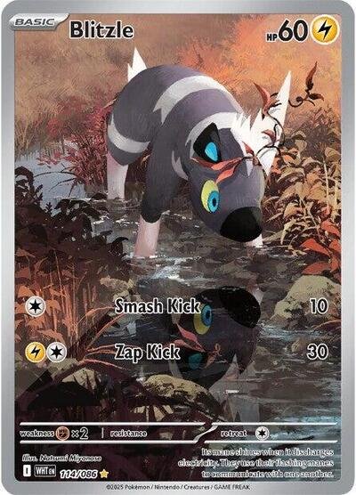 Pokémon card: Blitzle 114/086 from White Flare (Illustration Rare), Lightning type, front of card