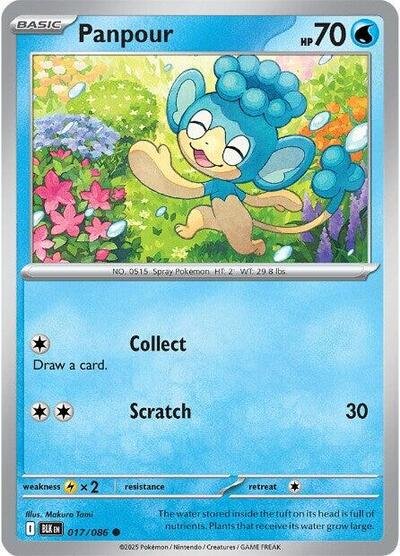 Pokémon card: Panpour (Master Ball Pattern) 017/086 from Black Bolt (Common), Water type, front of card