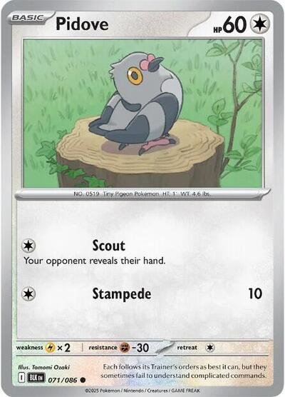 Pokémon card: Pidove (Poke Ball Pattern) 071/086 from Black Bolt (Common), Colorless type, front of card